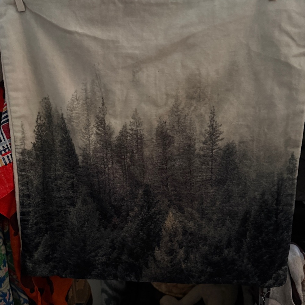 COTTON VELVET GRAPHIC PILLOW SHAM